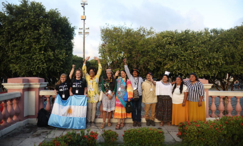 Inside a climate justice case at the Inter-American Court of Human Rights Inside a climate justice case at the Inter-American Court of Human Rights