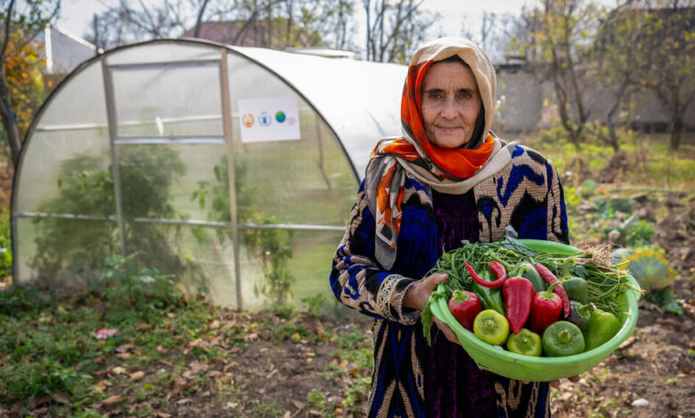 WFP at a Glance | World Food Programme WFP at a Glance | World Food Programme