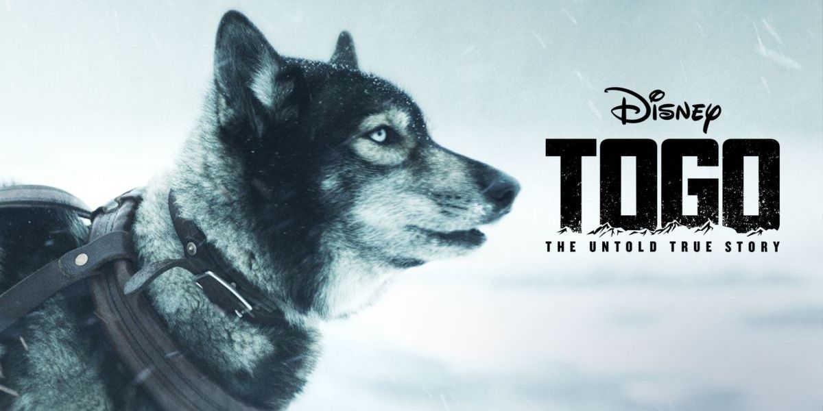 Togo, a Disney+ Original Movie