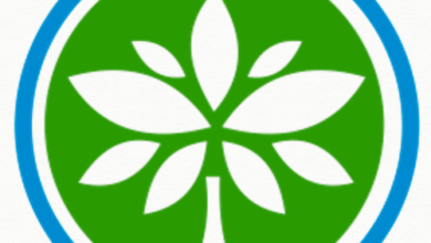 10 Case Studies of NGOs That Successfully Became Social Enterprises