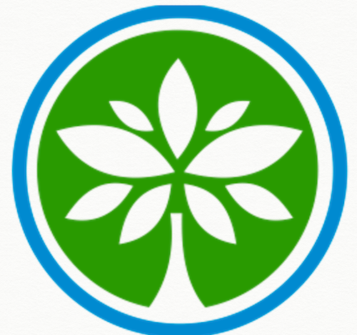 10 Case Studies of NGOs That Successfully Became Social Enterprises