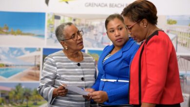 International Day for People of African Descent