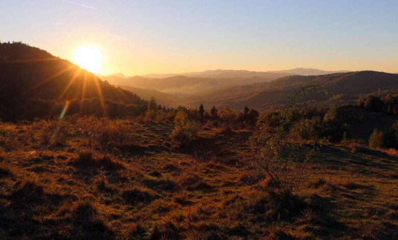 Rebecca Brown Appointed President and CEO of the Center for International Environmental Law Rebecca Brown Appointed President and CEO of the Center for International Environmental Law