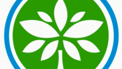 The Best Kuwaiti Foundations Providing Grants for NGOs