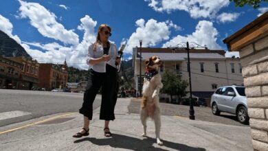 “Kindness 101”: Dexter the dog overcomes tragedy to inspire many