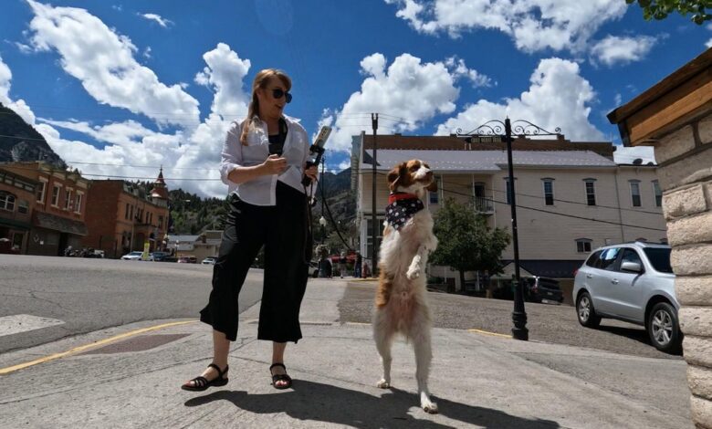 “Kindness 101”: Dexter the dog overcomes tragedy to inspire many “Kindness 101”: Dexter the dog overcomes tragedy to inspire many