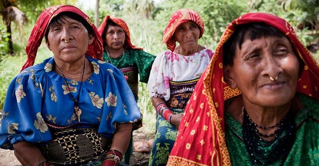 New report lists Indigenous Women’s response to climate, human rights crisis – EnviroNews New report lists Indigenous Women’s response to climate, human rights crisis – EnviroNews