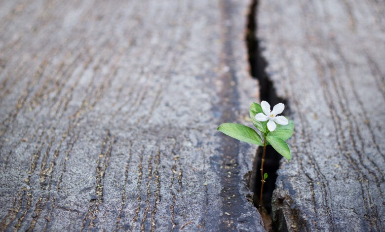 Hope: The forgotten virtue of our time. Hope: The forgotten virtue of our time.