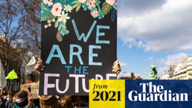 Clean environment is a human right, UN council agrees | United Nations