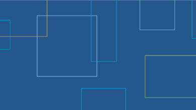 Social Justice and Human Rights